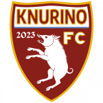Knurino FC